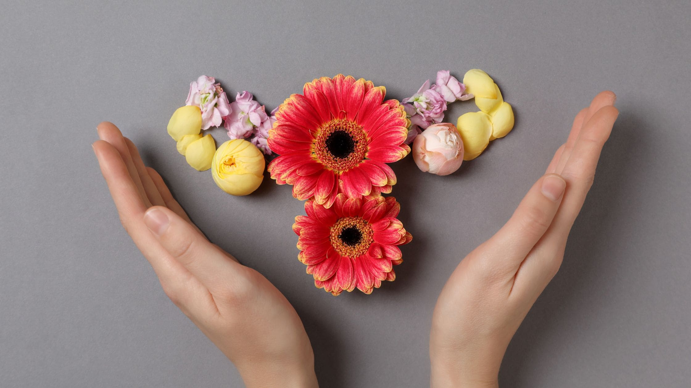 Alimentation SOPK : Le guide nutritionnel pour réguler ses hormones