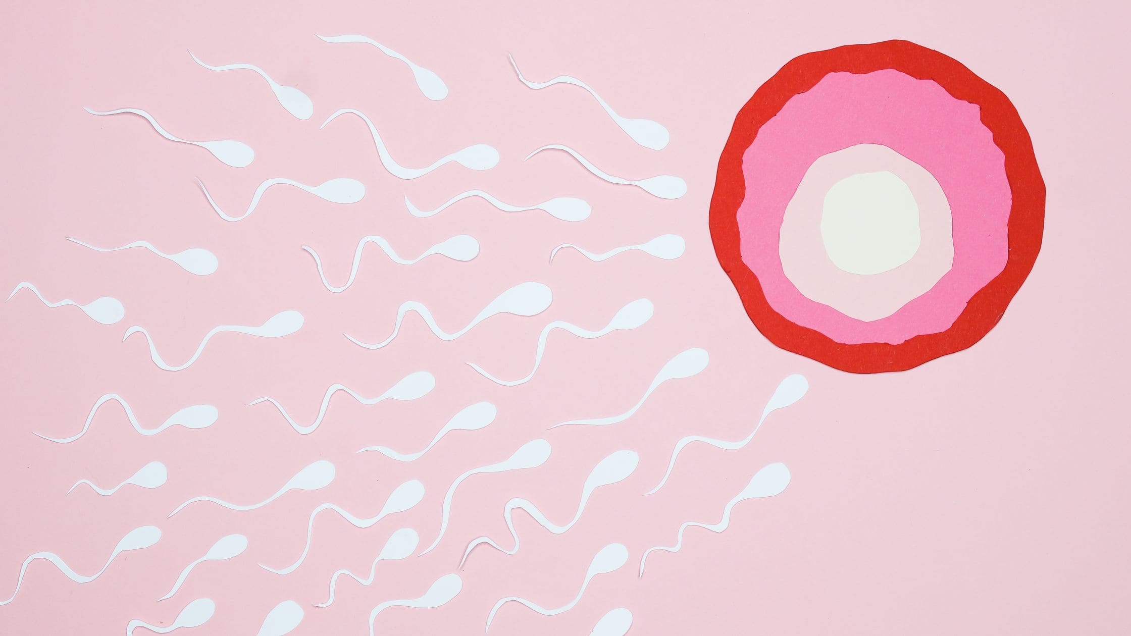 Symptothermie : Le guide de cette contraception naturelle