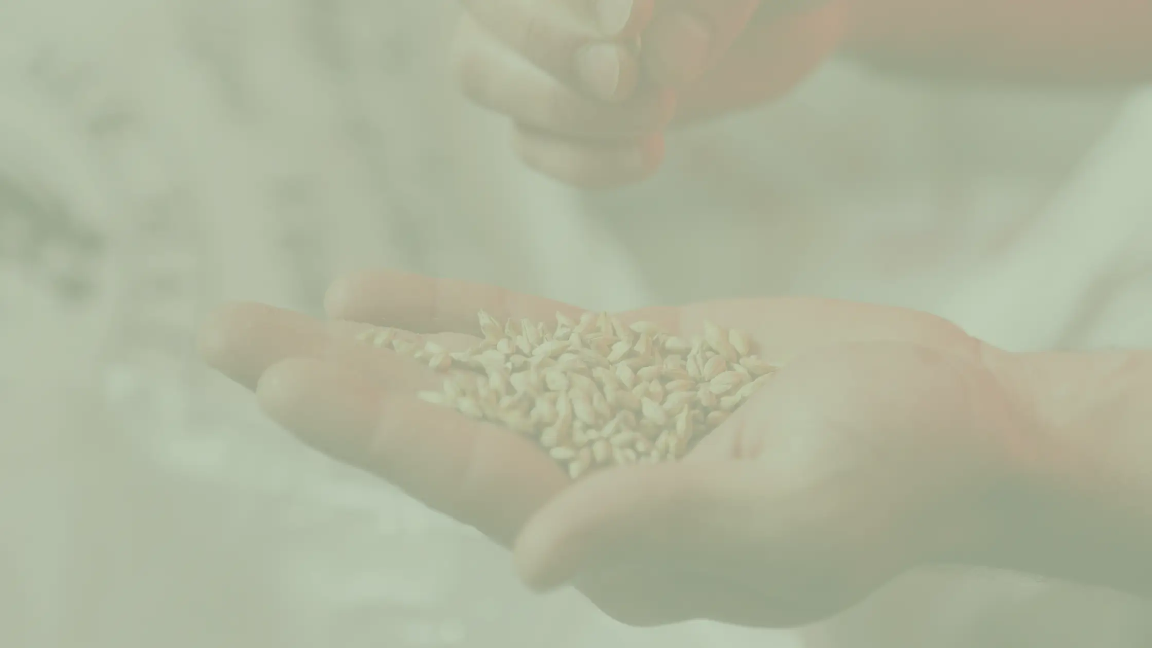 Le guide du Seed Cycling : Quelles graines manger pour réguler ses hormones ?